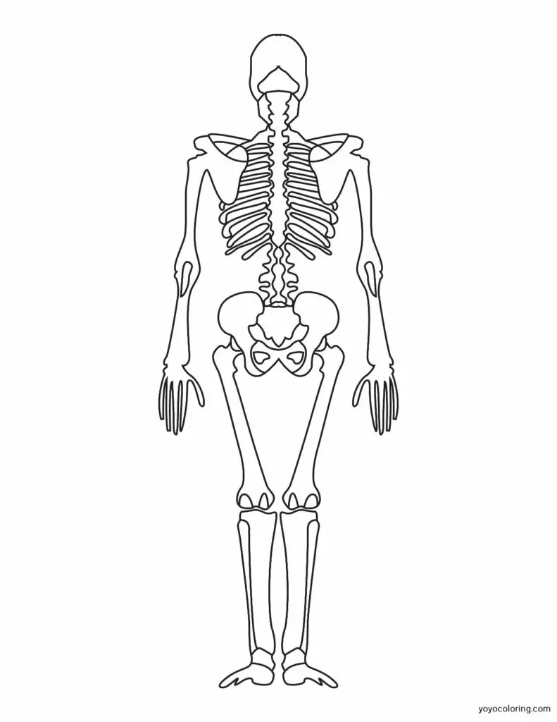 Dibujos para colorear de esqueletos ᗎ Plantilla de pintura imprimible