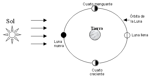 Curso Astronomía 08. La observación lunar. Comienzo básico por los ...
