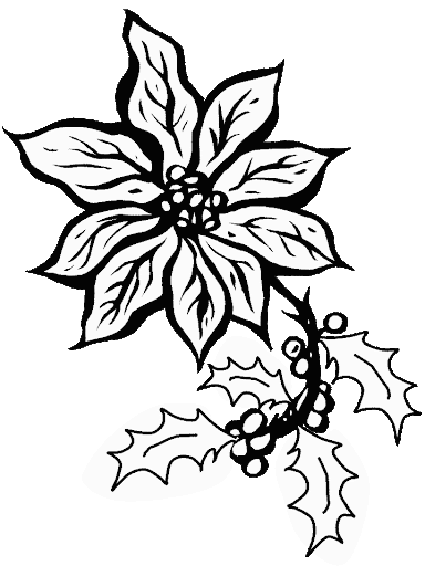 DIBUJOS PARA COLOREAR FLORES DE NAVIDAD | Dibujos para colorear DIBUJOS PARA COLOREAR FLORES DE NAVIDAD | Dibujos para colorear