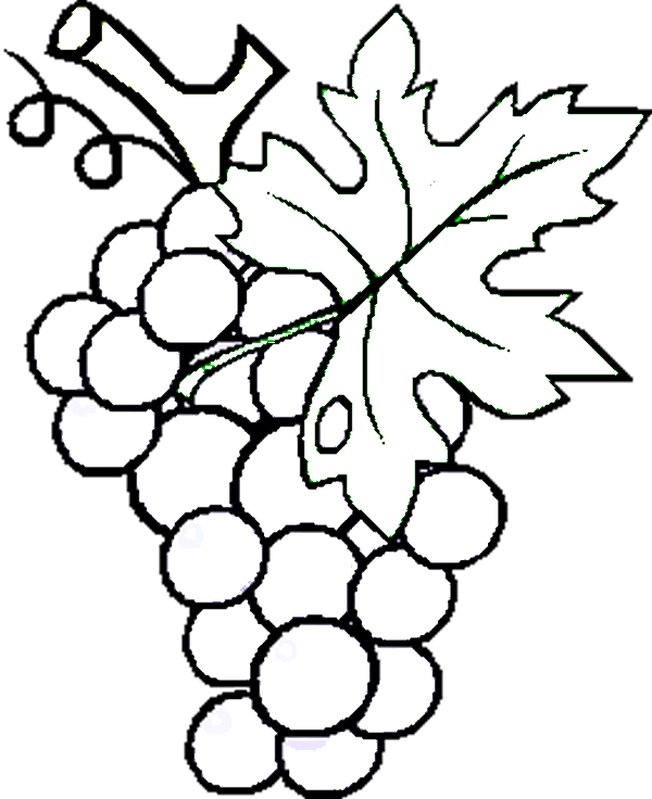 Moldes para dibujar frutas - Imagui