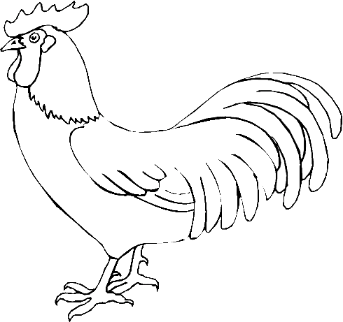 Dibujos para colorear de Gallos, Gallinas, Gallus gallus