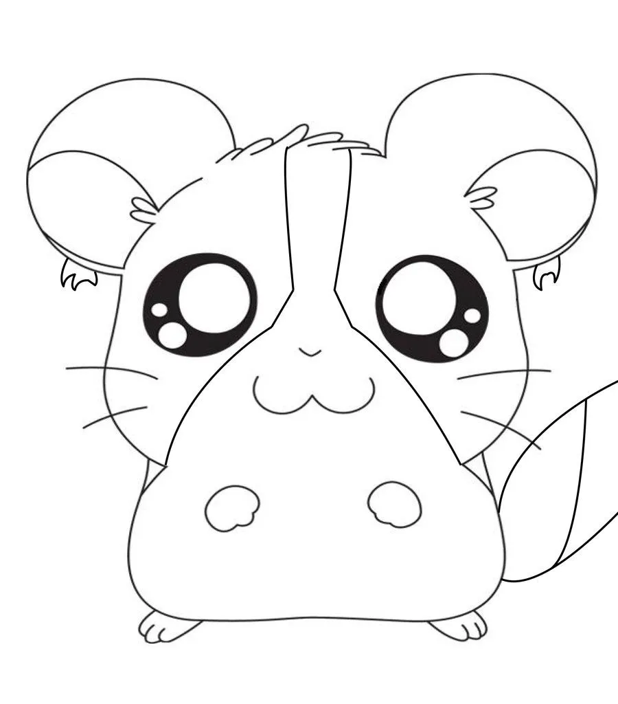 Dibujos para colorear de hámsters | Colorear imágenes Dibujos para colorear de hámsters | Colorear imágenes