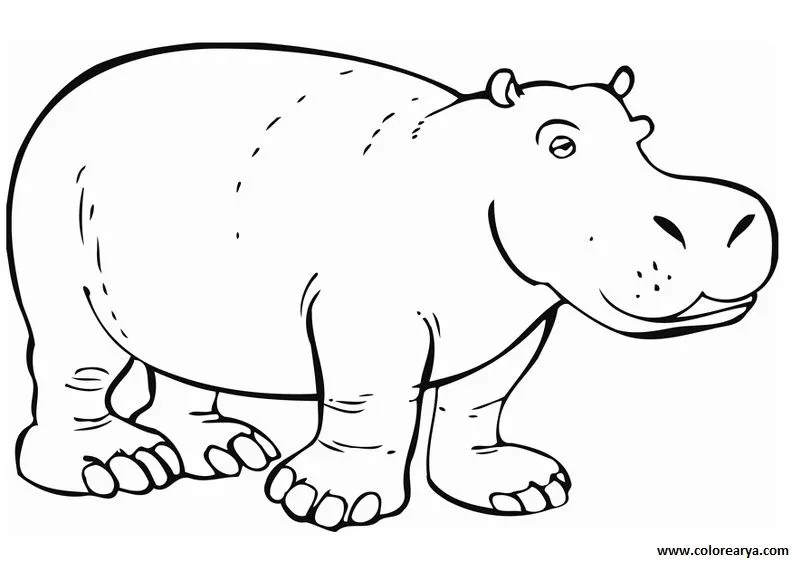 Dibujos Para Colorear Hipopotamo images