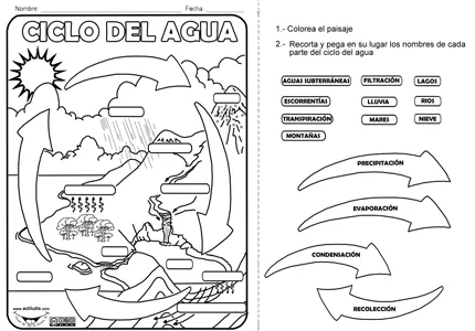 Dibujos para colorear e imprimir del ciclo del agua - Imagui