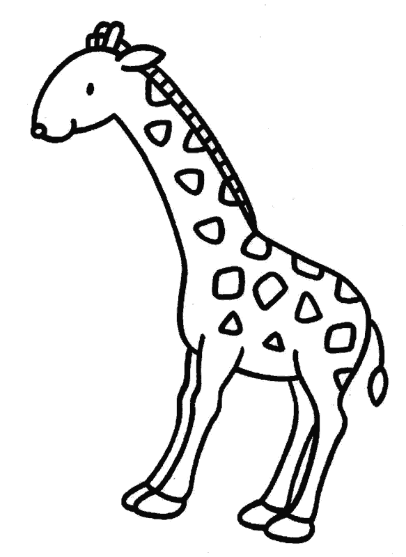 Dibujos para colorear de Jirafas, Giraffa camelopardalis ...