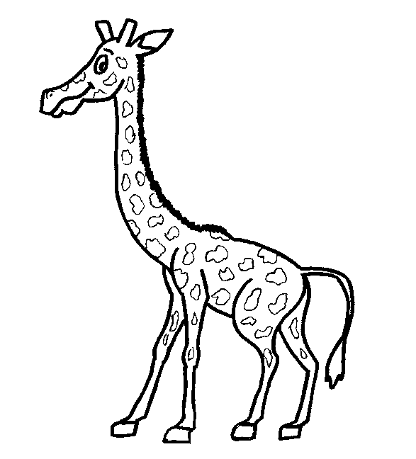 Dibujos para colorear de Jirafas, Giraffa camelopardalis