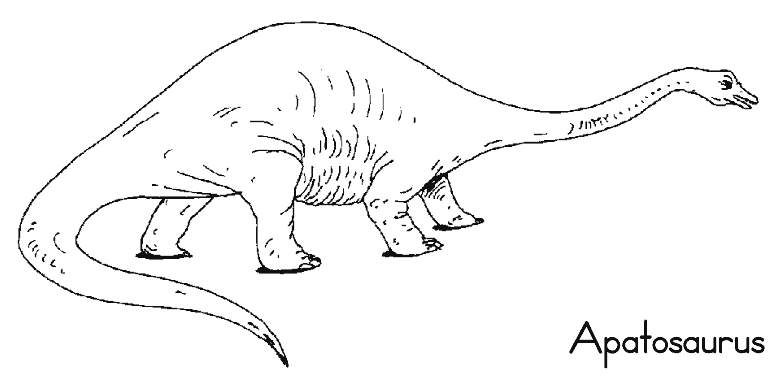 Dibujos de dinosaurios con sus nombres - Imagui