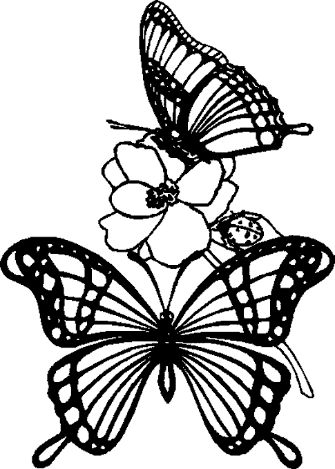 Dibujos para colorear de Mariposas, Lepidópteros, Plantillas para ...