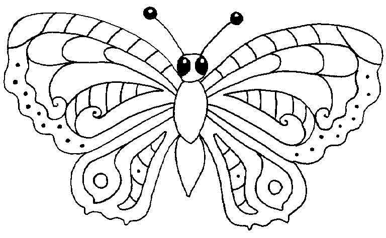 Dibujos para colorear de mariposas grandes - Imagui