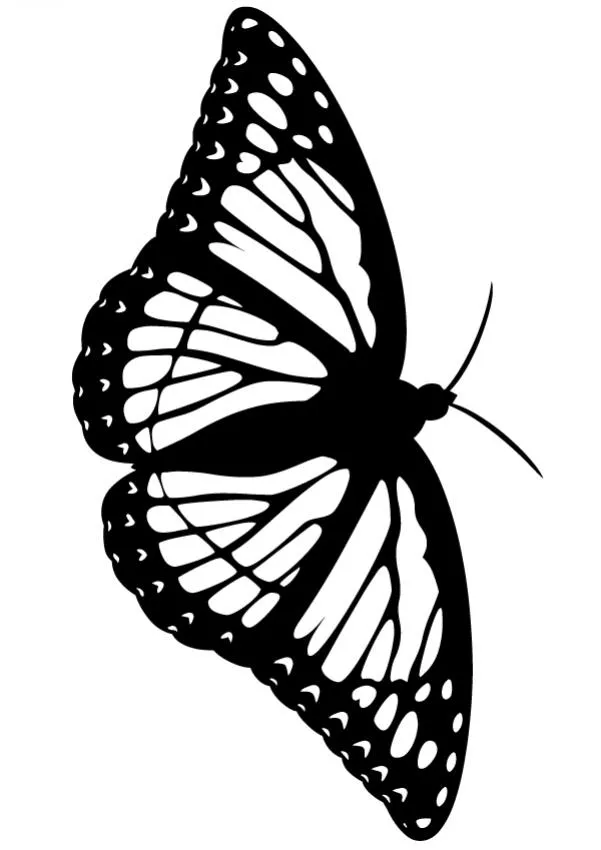 Dibujos para colorear MARIPOSAS, Mariposa fantasma para imprimir Dibujos para colorear MARIPOSAS, Mariposa fantasma para imprimir