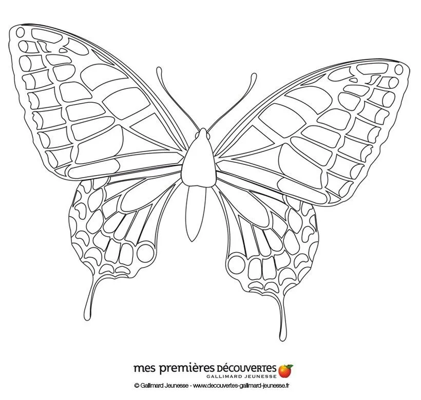 Dibujos para colorear MARIPOSAS, La mariposa para imprimir