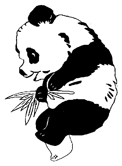 Dibujos para colorear de Osos Panda, Ailuropoda melanoleuca ...