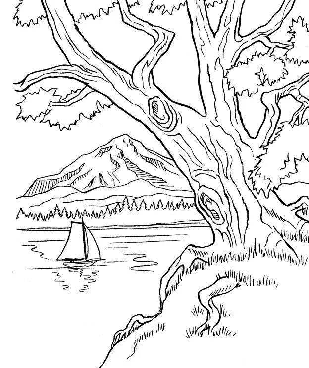 Dibujos Para Colorear Paisajes De Primavera Imagui Dibujos Para Colorear Paisajes De Primavera Imagui
