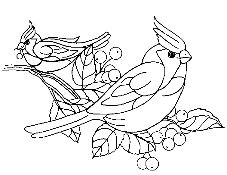 Dibujos para colorear de Pajaros, Aves