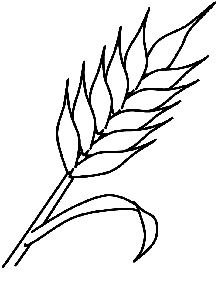 Dibujos de espigas de trigo para colorear - Imagui