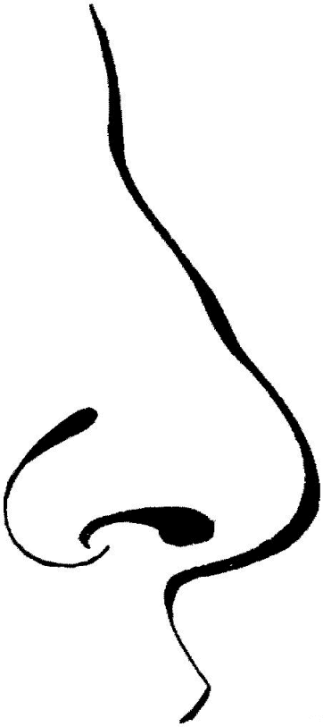 Dibujos para colorear de Partes del cuerpo, extremidades Dibujos para colorear de Partes del cuerpo, extremidades