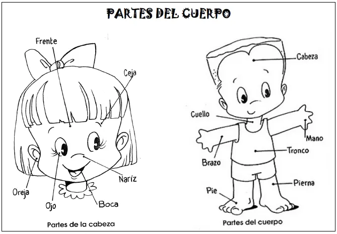 Dibujos para colorear las partes de cuerpo para preescolar - Imagui