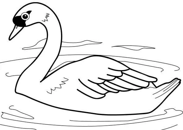 Dibujos para colorear de patos y cisnes - Imagui