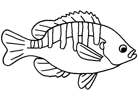 Dibujo pescado para colorear - Imagui