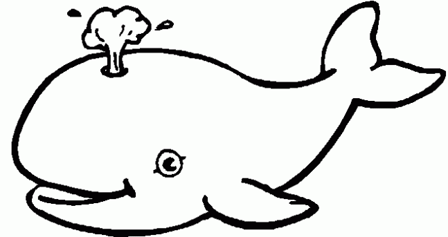 Animales acuaticos faciles de dibujar - Imagui