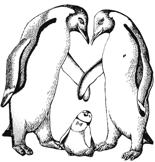 Pinguino emperador colorear - Imagui