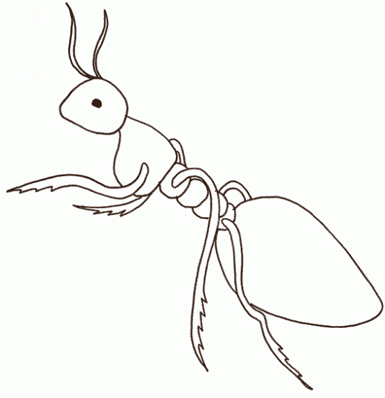 Maestra de Infantil: Las hormigas y los osos hormigueros.Dibujos ...