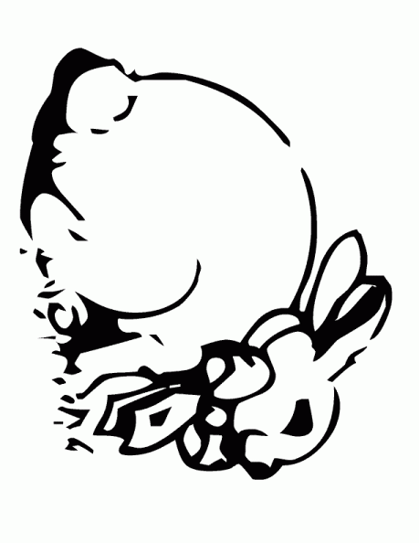 Dibujos para colorear y pintar para los niños Dibujos para colorear y pintar para los niños