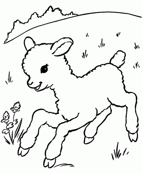 Imagenes de ovejas para niños - Imagui
