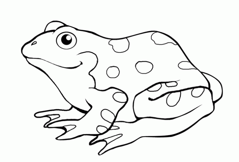 Imagenes para pintar de ranas - Imagui