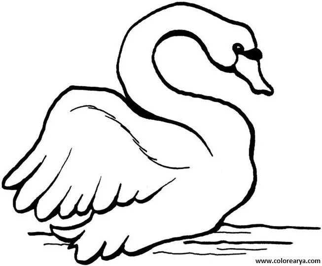 Cisne dibujo para colorear - Imagui
