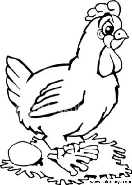 Dibujo de la gallina para colorear - Imagui