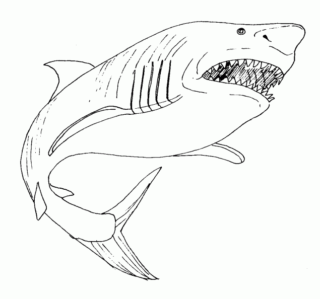 Dibujos para colorear y pintar para los niños Dibujos para colorear y pintar para los niños