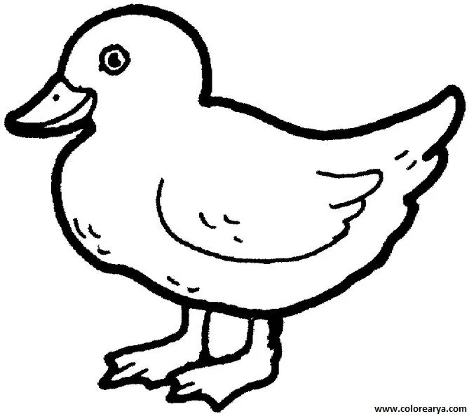 Una pato para colorear - Imagui