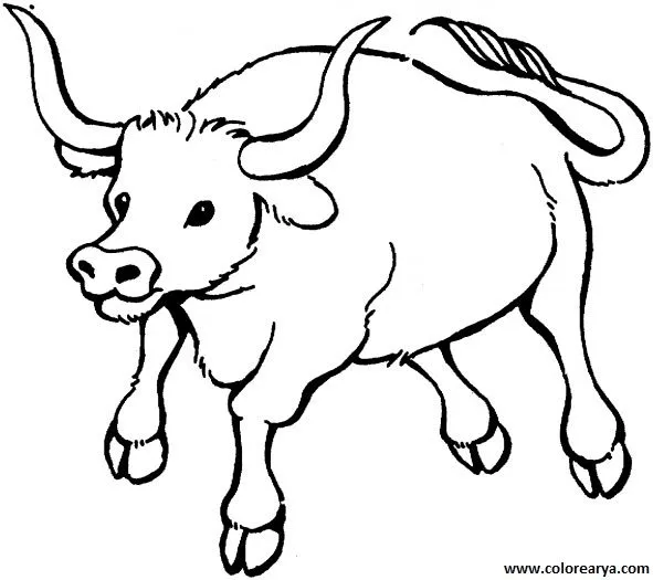 Dibujos para colorear toro y torero - Imagui