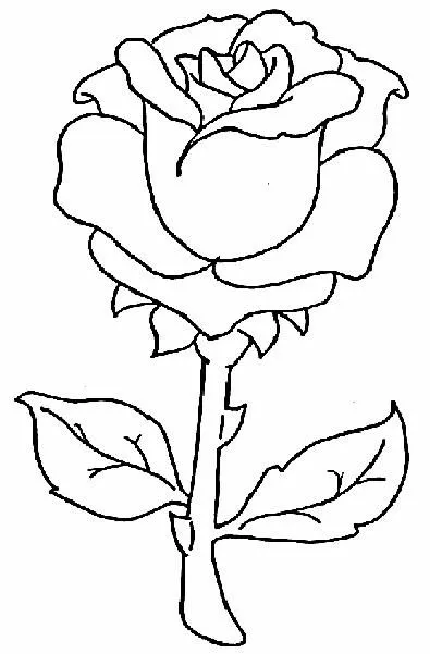 Dibujos para Colorear: Rosa para Pintar e Imprimir.