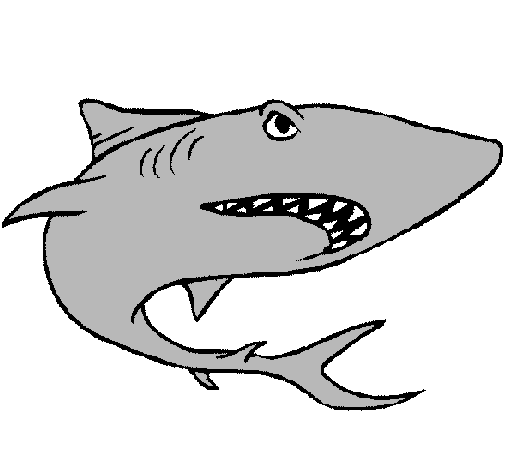 Dibujo de Tiburón pintado por Tiburon en Dibujos.net el día 21-05 ...