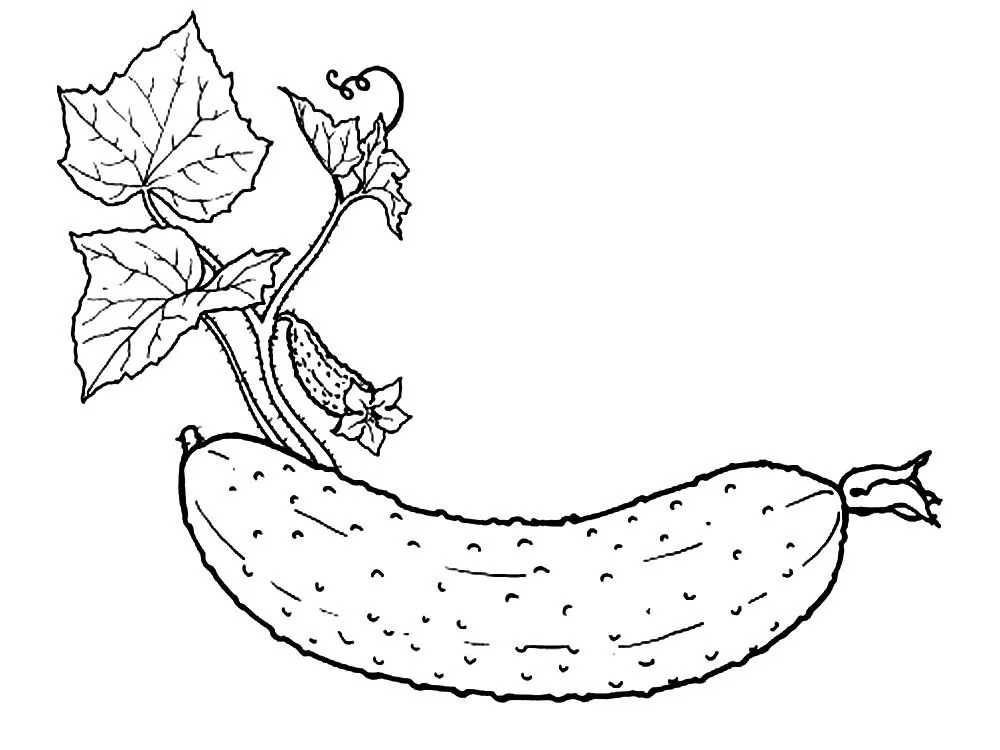 Dibujos para colorear - verduras y frutas.