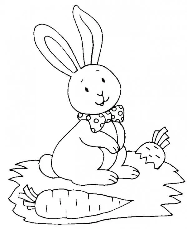 Dibujos de conejitos bebés para colorear | Colorear imágenes