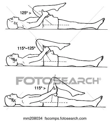 Dibujos - coyuntura cadera, flexión, flexibilidad mm208034 ...
