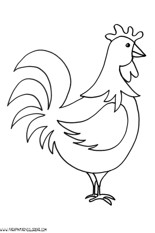Un gallo dibujo - Imagui