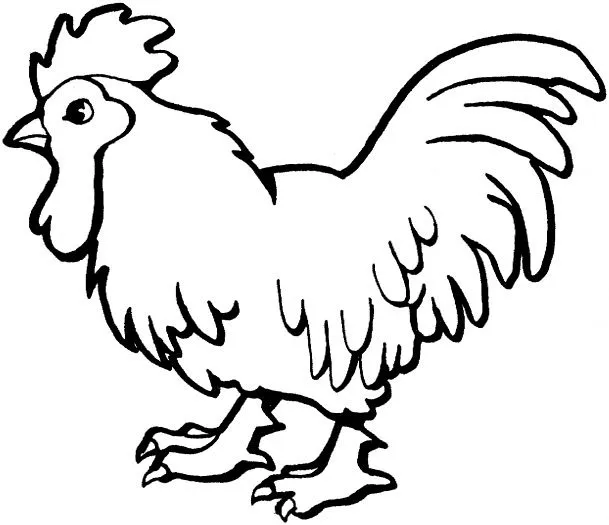 Dibujos para imprimir de un gallo - Imagui