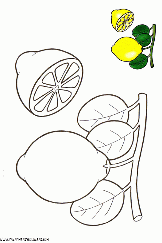 dibujos-de-limones-002