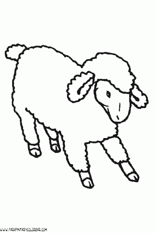 dibujos-de-ovejas-025