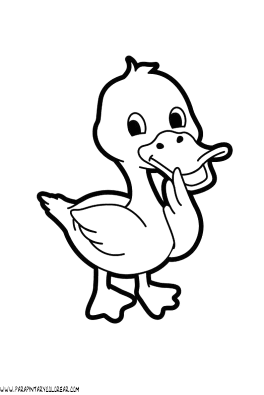 Dibujos de patos - Imagui