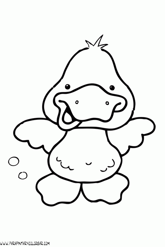 Dibujos grandes de patos - Imagui