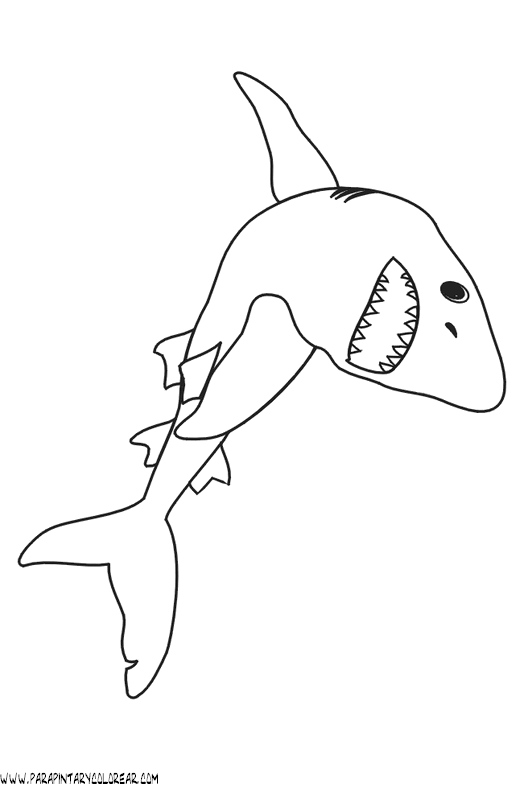 dibujos-de-tiburones-015