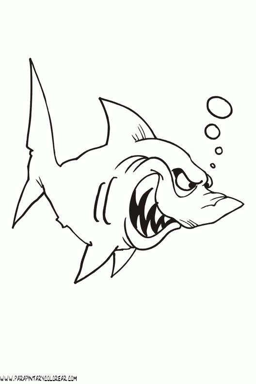 dibujos-de-tiburones-026