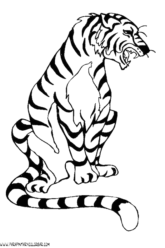dibujos-de-tigres-033