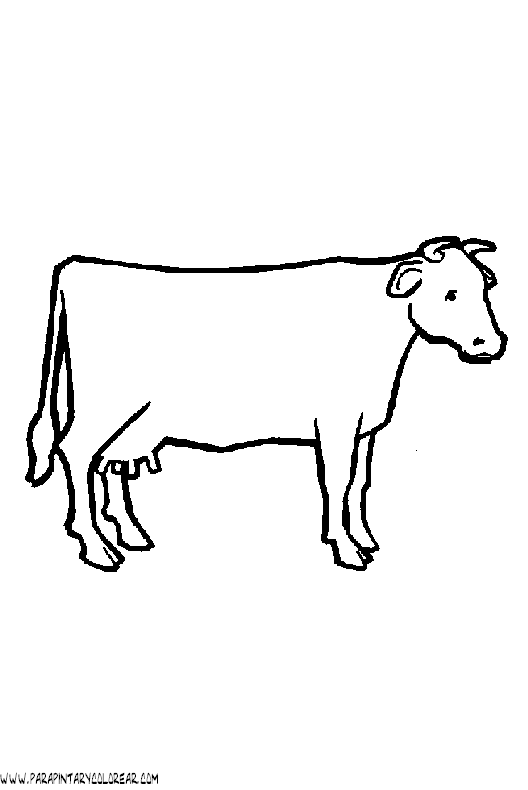 dibujos-de-vacas-021