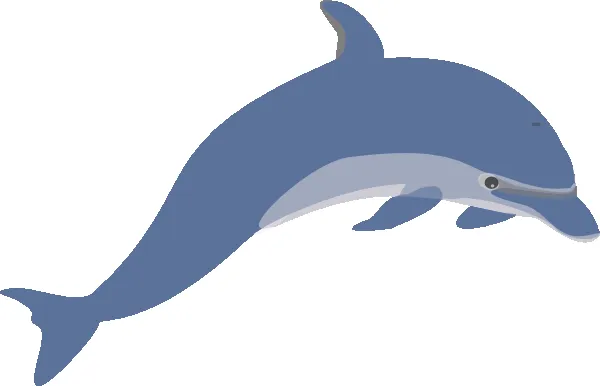 Dibujos de delfines en color - Imagui